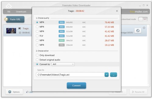 FreeMake Video Downloader FreeMake Video Downloader